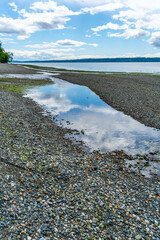 Canvas Print - Beach Park Shoreline Creek 3