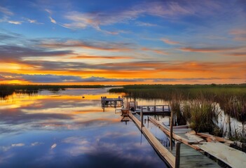 Wall Mural - A view of the Everglades in Florida