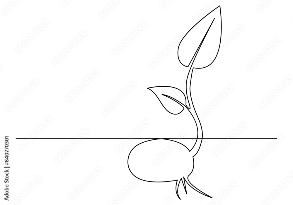 Continuous one line drawing of plant growth process. outline vector ...