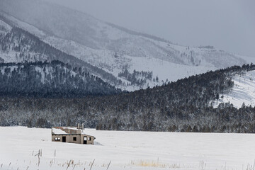 Wall Mural - An abandoned homestead in the middle of a snow-covered field high in the mountains of Flagstaff, Arizona.