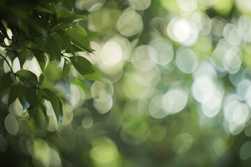 Blurred image of green leaves with soft bokeh light effect