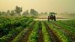 © Lubos Chlubny - Agricultural scene where a tractor is spraying crops in the rows of a field during an early morning