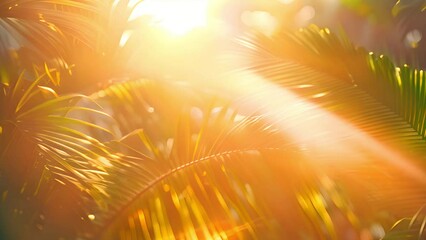 Wall Mural - Jungle leaves with sunlight. Tropical coconut palm leaf swaying in the wind with sun light, Summer background, slow motion. Exotic Rain forest 4k video
