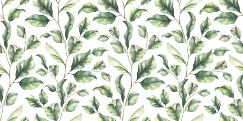 Wall Mural - Green branches with leaves. Hand drawn watercolor seamless pattern of Twigs. Summer floral background for wedding design, textiles, wrapping paper, scrapbooking