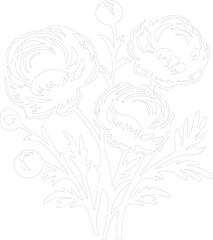 Sticker - ranunculus outline