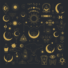 Wall Mural - Big set of celestial magical and astrological symbols. Mystical emblems, magical animals, space elements. Vector illustration