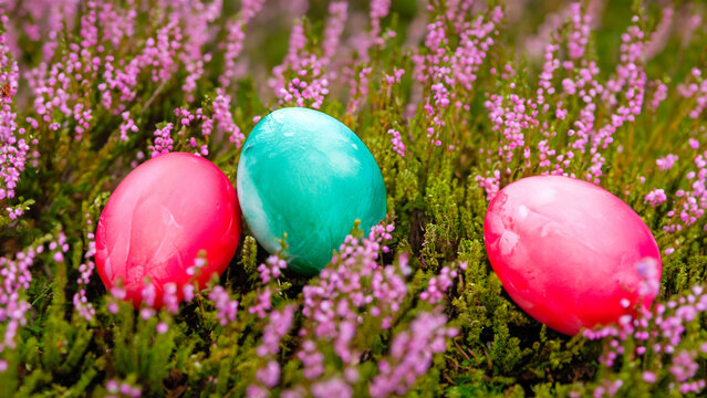 Abstract colorful fantasy eggs in the forest art illustration design