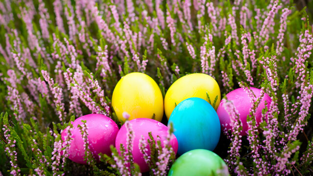 Abstract colorful fantasy eggs in the forest art illustration design