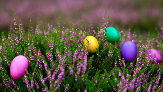 Abstract colorful fantasy eggs in the forest art illustration design