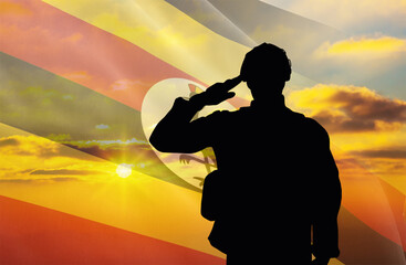 Wall Mural - Silhouette of a soldier with a background of the Uganda flag and a sunset or sunrise. Concept of national holidays. Commemoration Day.