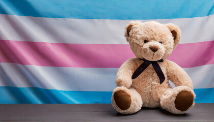 Wall Mural - cute teddy bear sitting on the background of the transgender flag, queer lgbt pride visibility month