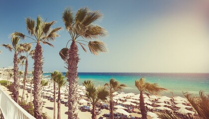 Wall Mural - Tall palm trees of Cyprus Nissi Beach on Windy day retro vintage toned copy space