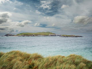 Wall Mural - Tall green grass on a sand dune and amazing tropical blue color ocean water and blue cloudy sky. Stunning Glassilaun Beach in Connemara, Ireland. Travel and tourism. Nobody.