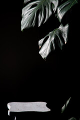 Canvas Print - monstera leaves on black background mock up