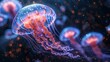 © Space Priest - A jellyfish with a blue and orange body is floating in the water