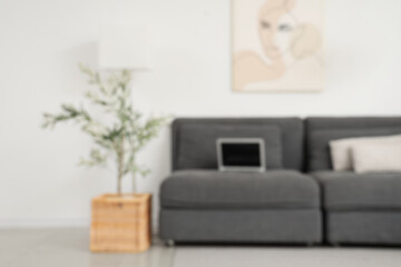 Sticker - Stylish living room with black sofa, houseplant and pillow, blurred view