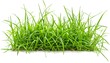 © thiraphon - Green grass isolated on white background