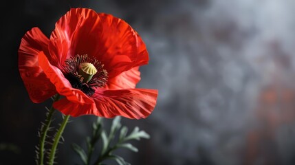 Artificial flower sold by veteran s associations to raise funds for military personnel