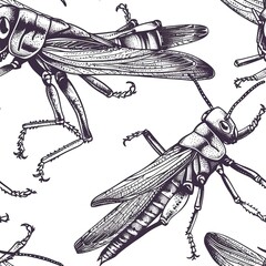 Wall Mural - Detailed line work capturing the agility of a grasshopper in mid-jump, with its hind legs extended. Minimal pattern banner wallpaper, simple background, Seamless,