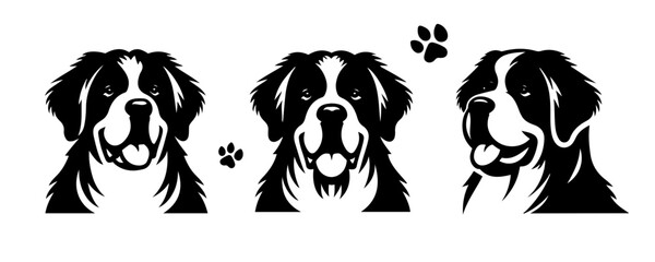 Vector set of faces of St. Bernard dog breed