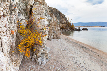 Wall Mural - baikal lake in autumn. beautiful landscape with yellowed bushes on steep cliffs of olkhon island on 