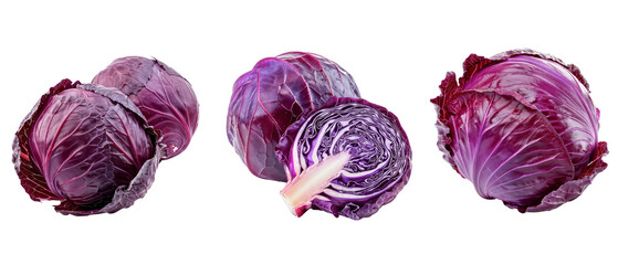 collection of red cabbage isolated on white background