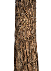 Aufkleber - Trunk of a tree Isolated On transparent Background..
