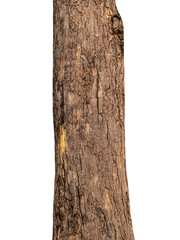 Aufkleber - Trunk of a tree Isolated On transparent Background.