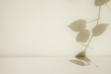 Poster - simple room with leaf shadow background