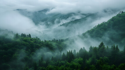 Amazing wild nature view of layer of mountain forest landscape with cloudy sky. Natural green scenery of cloud and mountain slopes background