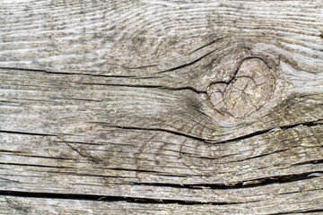 Wall Mural - The texture of old wood with a knot. Cracked wooden plank close-up.