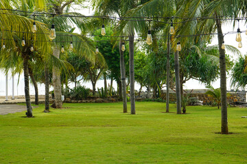 
A meadow on the edge of the beach filled with palm and coconut trees. Neatly arranged grass looks beautiful. Grass field in the resort hotel area on the beach. Jepara, Central Java, Indonesia.