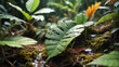 © 4K_Heaven - Exploring the unseen microhabitats of the jungle where every leaf and drop of water becomes a stage for tiny life forms, Generative AI