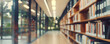 © RicardoLuiz - Blurred perspective of a modern public library interior with rows of bookshelves and large windows. Serene and quiet atmosphere.