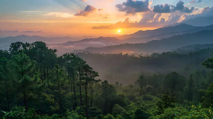 Wall Mural - sunrise over mountain forest