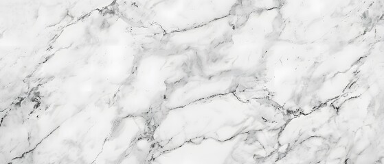 Canvas Print - Elegant White Marble Background with Gray Veins