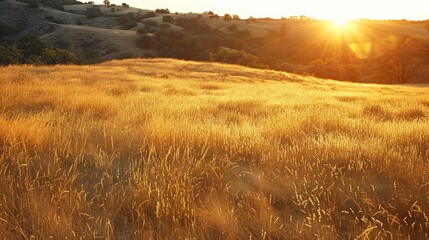 Canvas Print - Dry Grasslands