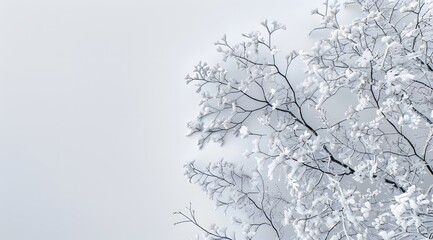 Canvas Print - Snow-Covered Branches, Winter Wonderland Top View