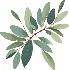 flat design eucalyptus 9