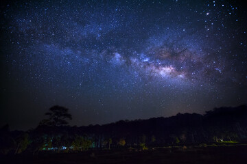 Wall Mural - landscape with panorama milky way, night sky with stars and silhouette of tree