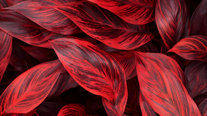 Abstract colorful tropical leaf texture and nature background