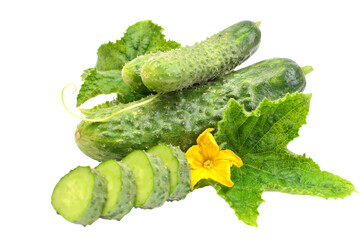 Wall Mural - Cucumber isolated