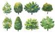© Ghen - Set of watercolor trees isolated on white, hand drawn illustration