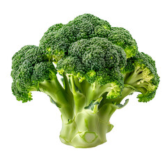 Wall Mural - [Transparent Background PNG]Fresh Broccoli on White Background