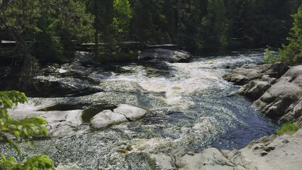 Wall Mural - A picturesque river flows through a rocky terrain with small waterfalls surrounded by a dense forest. The sunlight glistens on the water, enhancing the serene and beautiful natural landscape, perfect