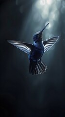 Sticker - Captivating Hummingbird Hovering in Shadowy Mystical Chamber with Iridescent Feathers and Focused Light