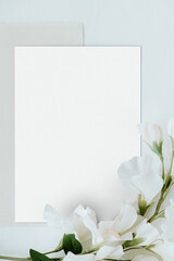 Poster - White sweet pea flower on a card mockup