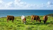 © We3 Animal - cattle feeding on the green grass near the sea. Generative Ai