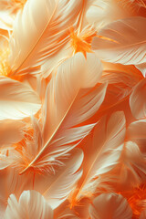 Poster - Golden feathers encircling a pastel peach background,