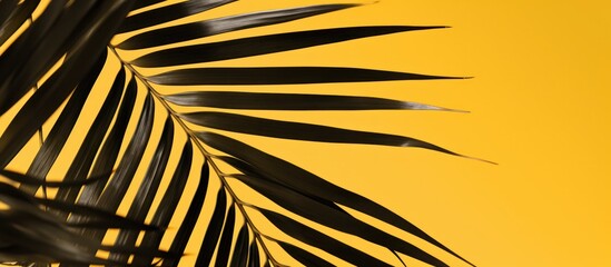 Sticker - Abstract shadow of black and white palm leaves on yellow background. Copy space